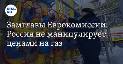Замглавы Еврокомиссии: Россия не манипулирует ценами на газ