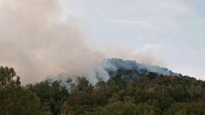На территории Башкирии вновь горят леса