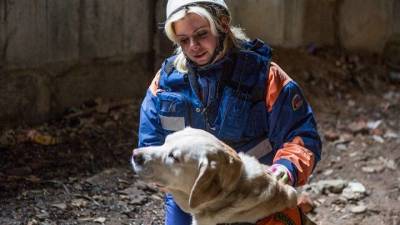 Служебные собаки в Москве помогли спасти 25 человек в этом году