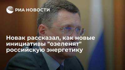 Новак рассказал, как новые инициативы "озеленят" российскую энергетику и ее экспорт