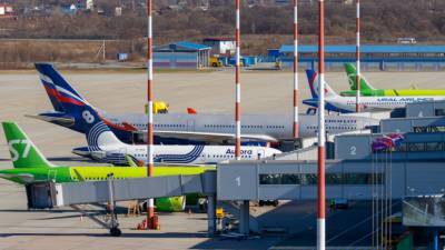 В аэропорту Владивостока самолёт при рулении сбил лису
