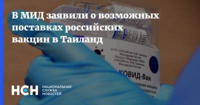 В МИД заявили о возможных поставках российских вакцин в Таиланд