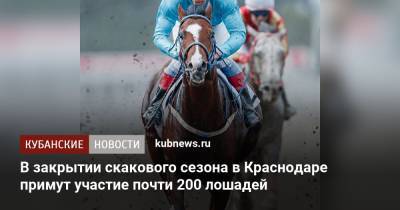 В закрытии скакового сезона в Краснодаре примут участие почти 200 лошадей