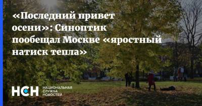 «Последний привет осени»: Синоптик пообещал Москве «яростный натиск тепла»