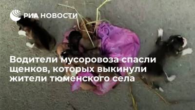 В Юргинском районе Тюменской области водители мусоровоза спасли выброшенных щенков