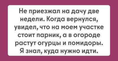 Соседи водрузили парник с огурцами и помидорами на нашем участке, решил им отомстить - skuke.net