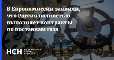 В Еврокомиссии заявили, что Россия полностью выполняет контракты по поставкам газа