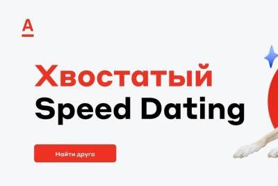 Хвостатый Speed Dating: банк поможет найти друга
