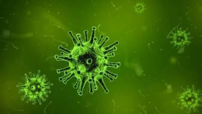 Российские медики сообщили о 32 196 новых случаях коронавируса
