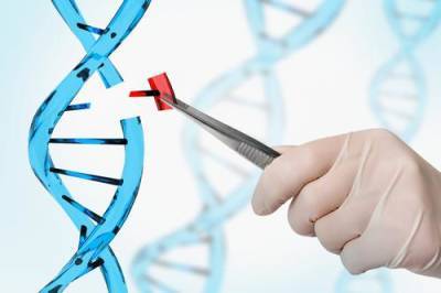 Учёные создали «геномные-ножницы» для удаления вирусов из ДНК человека