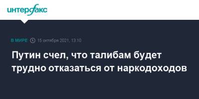 Путин счел, что талибам будет трудно отказаться от наркодоходов