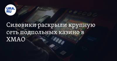 Силовики раскрыли крупную сеть подпольных казино в ХМАО. Видео