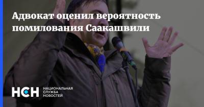 Адвокат оценил вероятность помилования Саакашвили