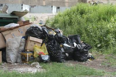 В Петербурге заработали пункты приёма опасных отходов