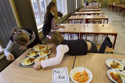 В школьной столовой под Новосибирском нашли опасные тарелки со сколами