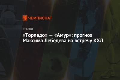 «Торпедо» — «Амур»: прогноз Максима Лебедева на встречу КХЛ