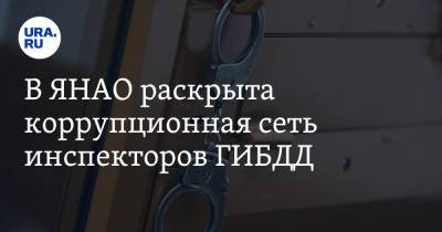 В ЯНАО раскрыта коррупционная сеть инспекторов ГИБДД
