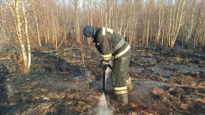 Более 13 тыс. тонн воды использовали пожарные для тушения торфяника в Екатеринбурге - interfax-russia.ru - Россия - Екатеринбург - Уральск