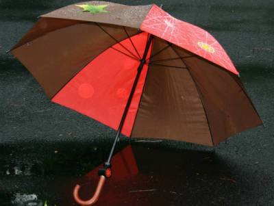 Врач Чернышова перечислила болезни, к которым могут привести прогулки без зонта в дождь