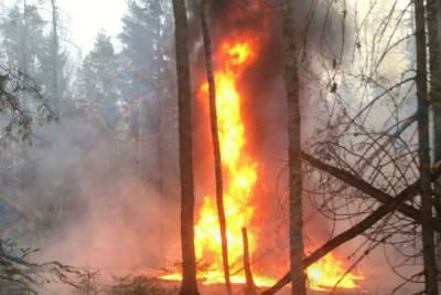 Причиной пожара на нефтепроводе в Тосно стала незаконная врезка