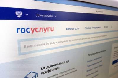 Почти миллион россиян уже приняли участие в переписи на Госуслугах