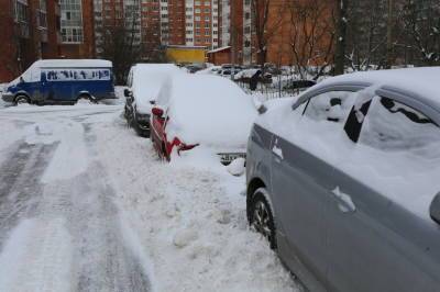 Жителям Ленобласти обещают снег на выходных