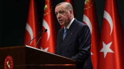 Эрдоган заявил о планах Турции бороться с терроризмом «совсем по-другому»