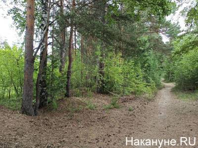 В Челябинске рекомендовали отказаться от строительства многоуровневой парковки возле парка Гагарина - nakanune.ru - Челябинск