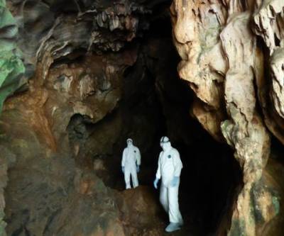 Пещеры коронавирусов: чем заразились китайские шахтеры и при чем здесь США