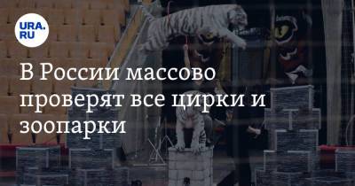 В России массово проверят все цирки и зоопарки