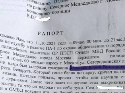 В Москве полиция задержала Лешего, от которого белки хотели родить Кентавра, чтобы спасти мир