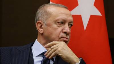 Эрдоган прокомментировал газовые соглашения Турции с Россией