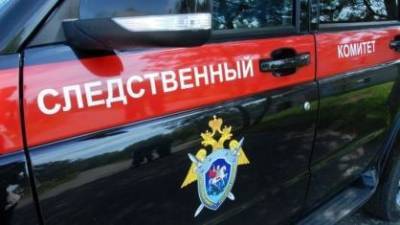 В Новосибирской области следователи возбудили уголовное дело по факту гибели ребенка