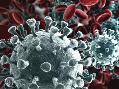 Факт естественного отбора людей при коронавирусе признали вирусологи