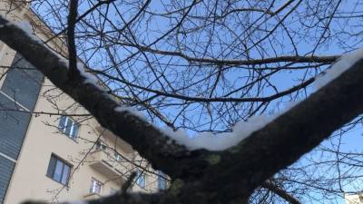 Синоптик Макарова: первый снег ожидается в Москве уже 19 октября