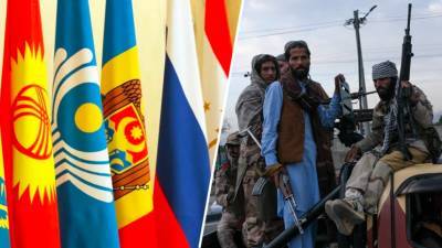 «Активизация совместных усилий»: как Россия и страны СНГ намерены взаимодействовать по афганскому вопросу