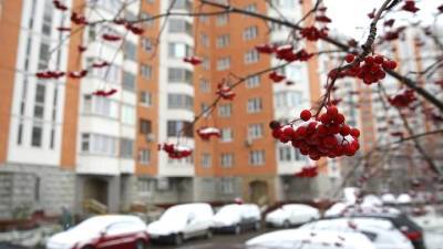 В Гидрометцентре сообщили, когда ожидается первый снег в столице и Подмосковье