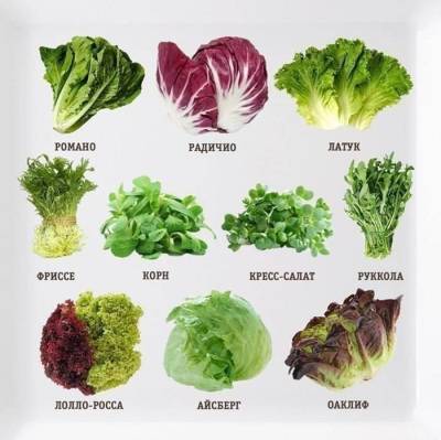 10 видов салата для вашего здоровья