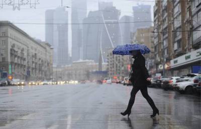 Синоптики ждут дождливую погоду в Москве 16 октября