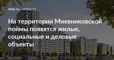 На территории Мневниковской поймы появятся жилые, социальные и деловые объекты
