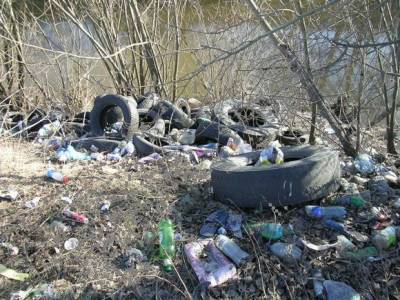 В Красногвардейском районе Петербурга на месте свалки построят электробусный парк