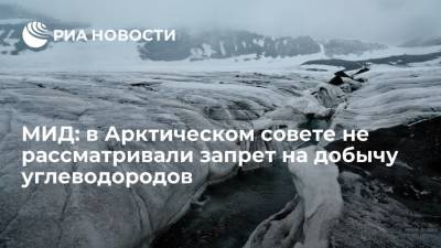 МИД: запрет на добычу углеводородов в Арктике не рассматривался