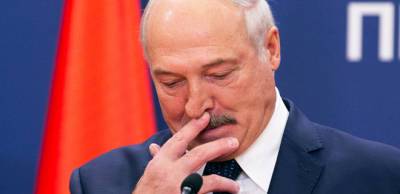 Евросоюз может ввести очередные санкции против режима Лукашенко