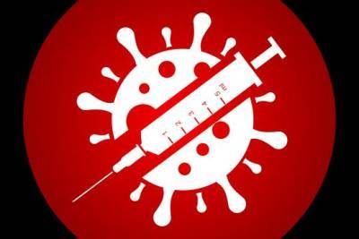 Гинцбург озвучил возможное название детской вакцины от коронавируса