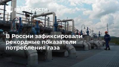 Вице-премьер Новак заявил о рекордных показателях потребления газа в России