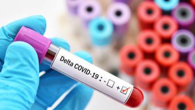 "Дельта++": появился новый штамм коронавируса. Опасен ли он для Израиля