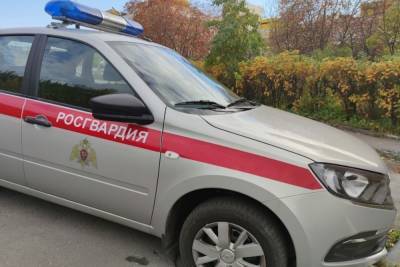 Пытавшихся повалить на землю росгвардейцев в Новом Петергофе остановили выстрелы в воздух