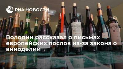 Спикер Госдумы Володин: европейские послы хотели бы изменить российский закон о виноделии