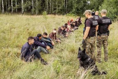 За прошедшие сутки в страны ЕС не впустили 646 нелегальных мигрантов со стороны Беларуси