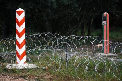 В Польше рассказали, зачем нужна стена на границе с Беларусью